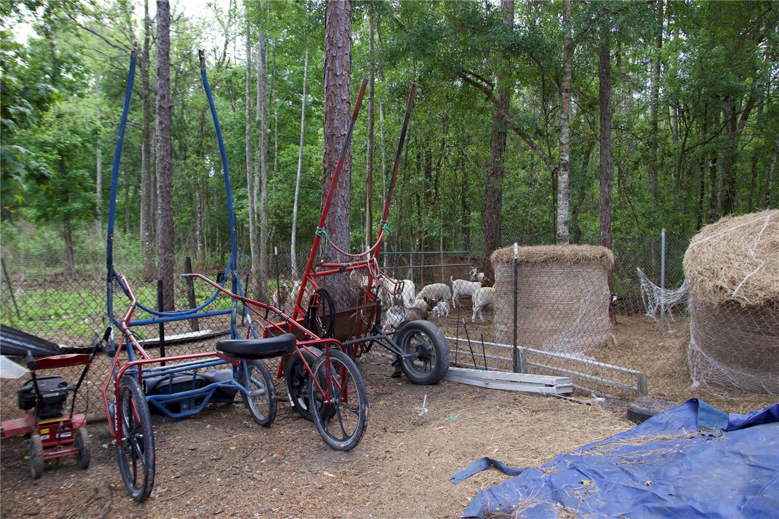 Image 23 of 41 For 1920 10th Street