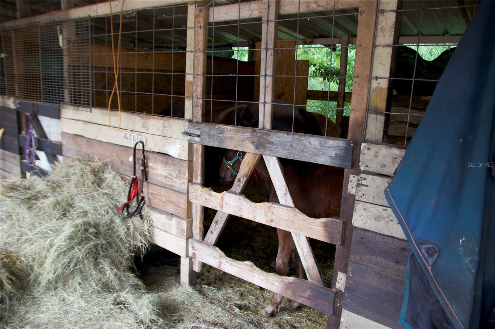 Image 35 of 41 For 1920 10th Street