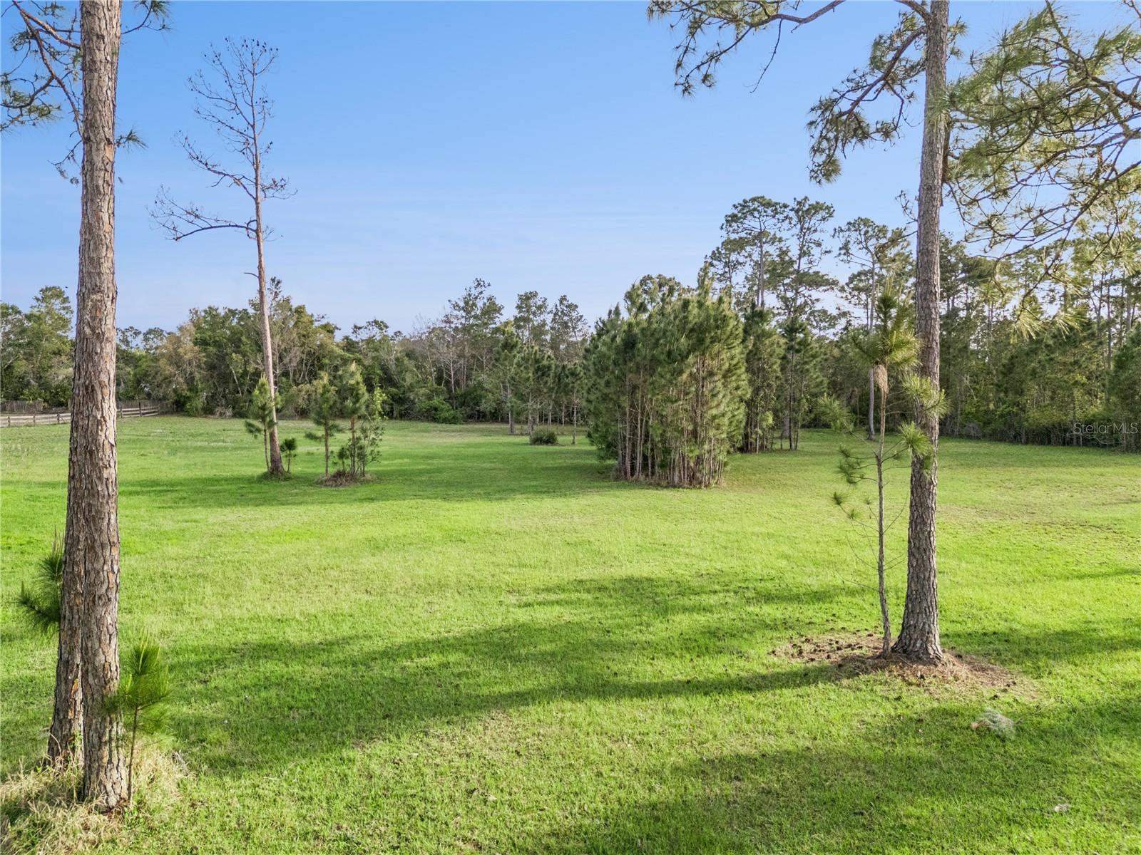 Image 4 of 35 For 110 Wild Horse Run