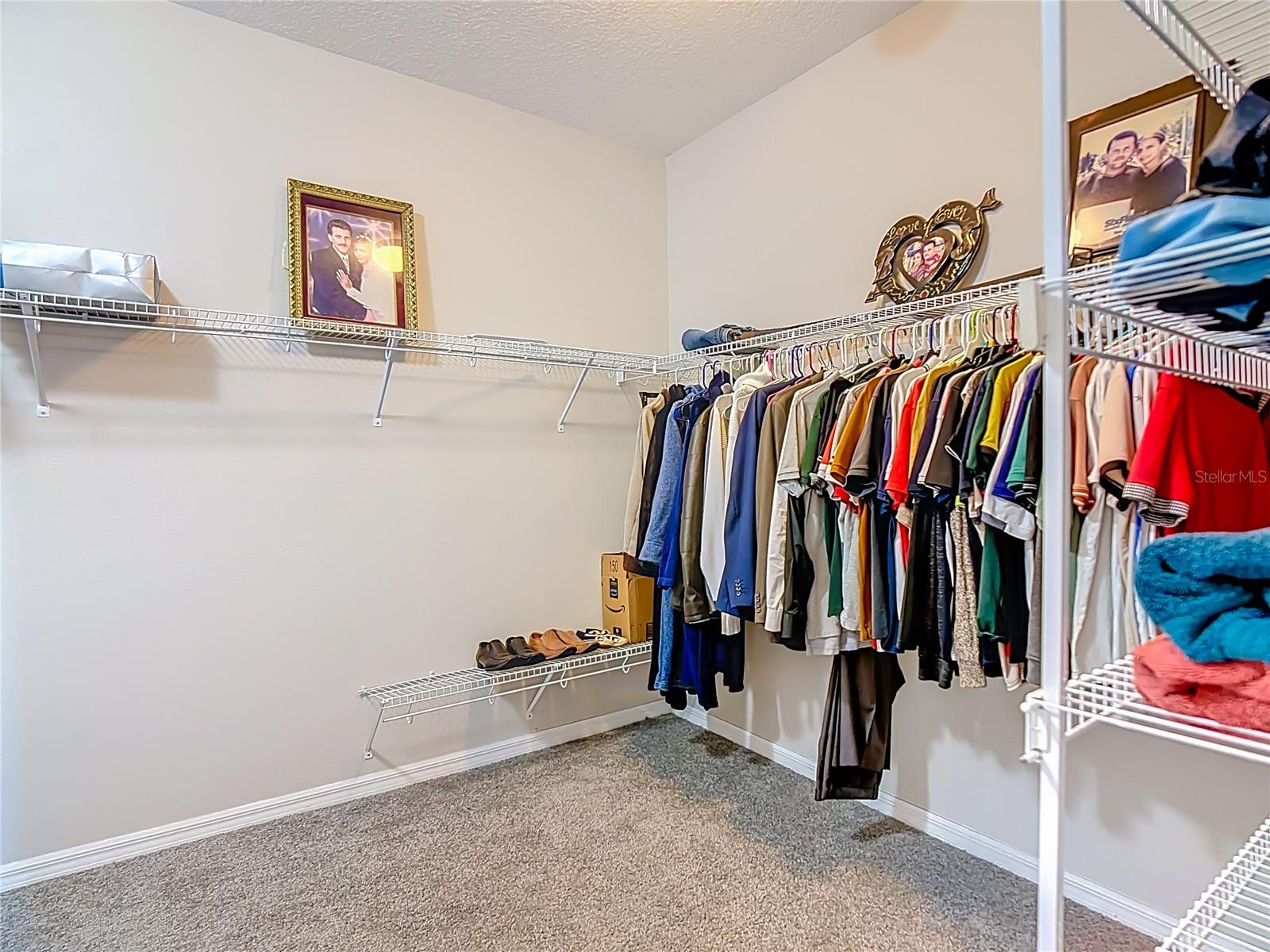 Image 31 of 67 For 344 Magneta Loop