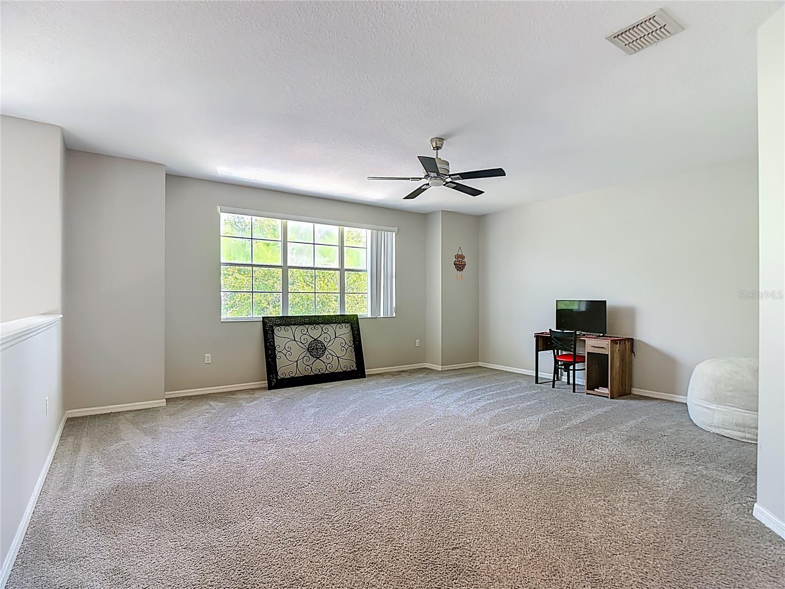 Image 46 of 67 For 344 Magneta Loop