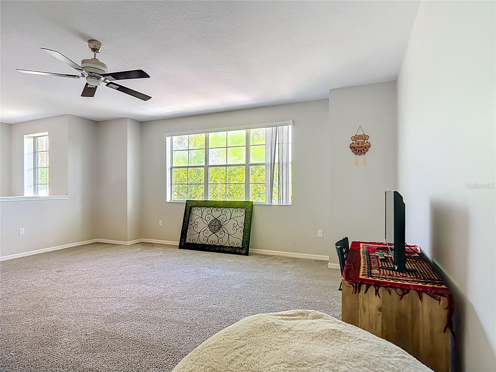 Image 49 of 67 For 344 Magneta Loop