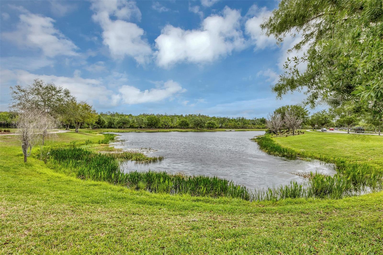 Image 38 of 59 For 9239 Doherty Place