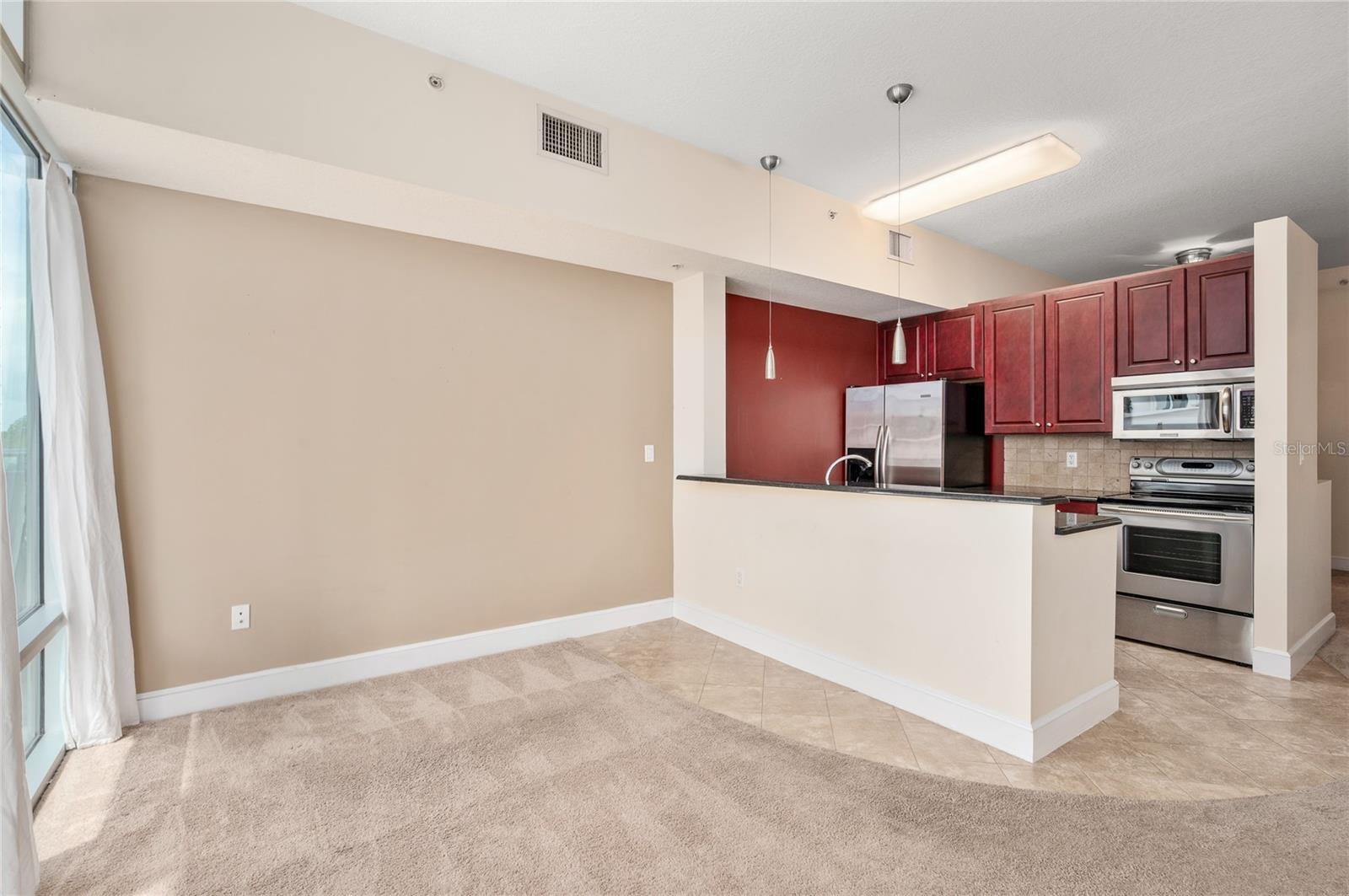 Image 13 of 26 For 101 Eola Drive 519