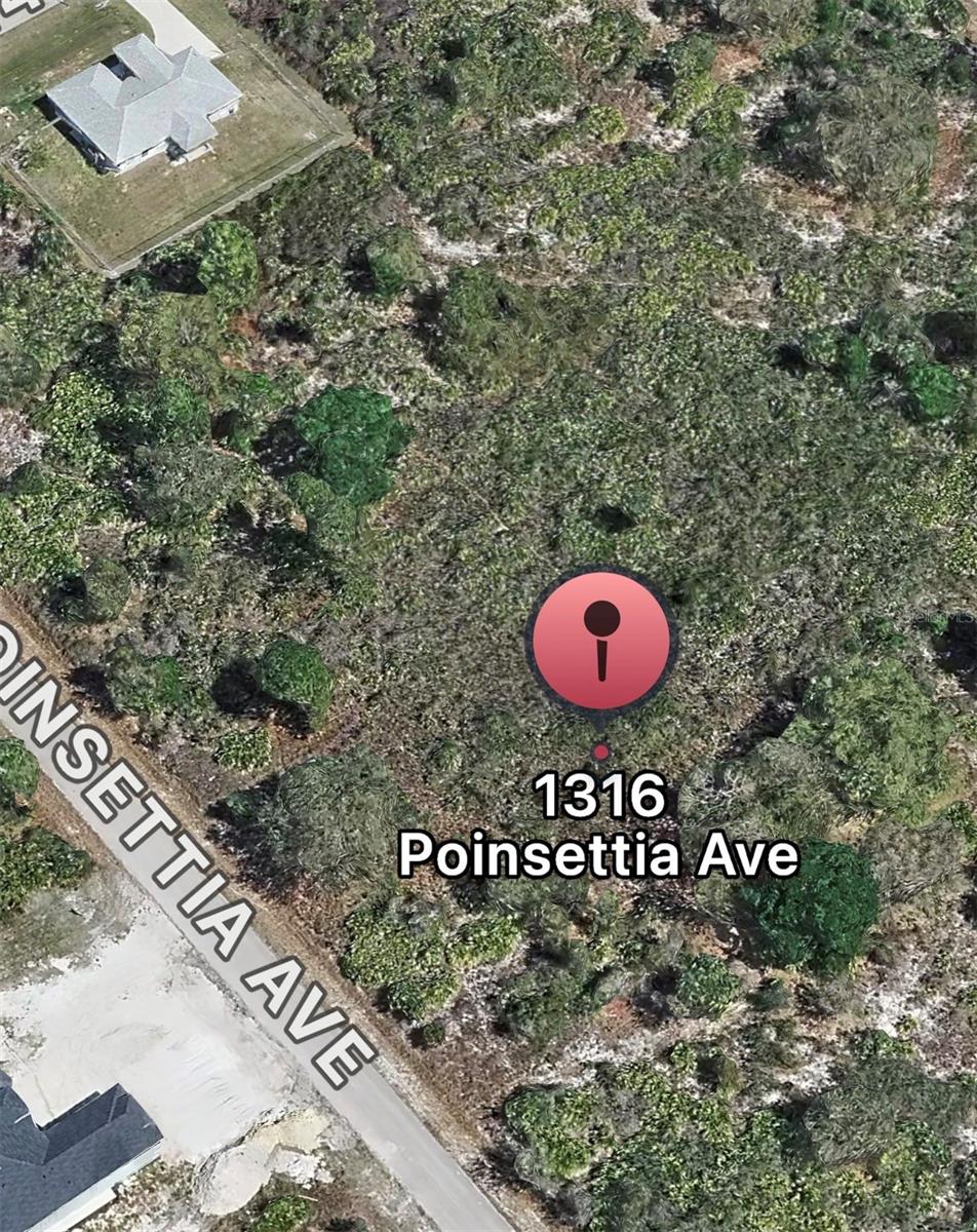 Image 2 of 4 For 1316 Poinsettia Avenue