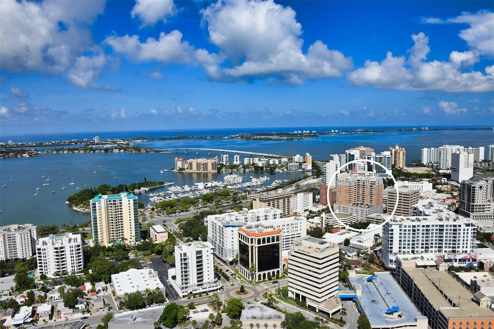 Image 2 of 56 For 1350 Main Street 709