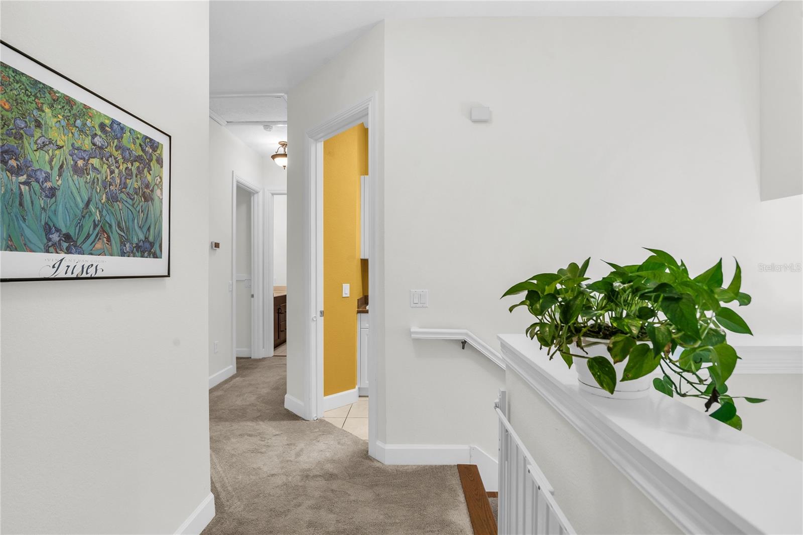 Listing photo id 31 for 18 Celia Lane