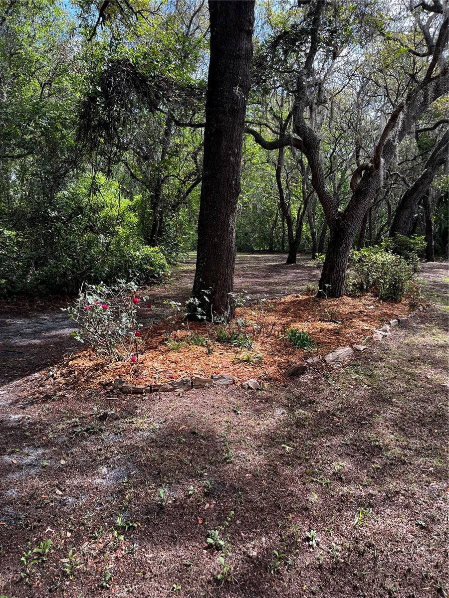 Listing photo id 0 for 29716 Deerwood Farms Road