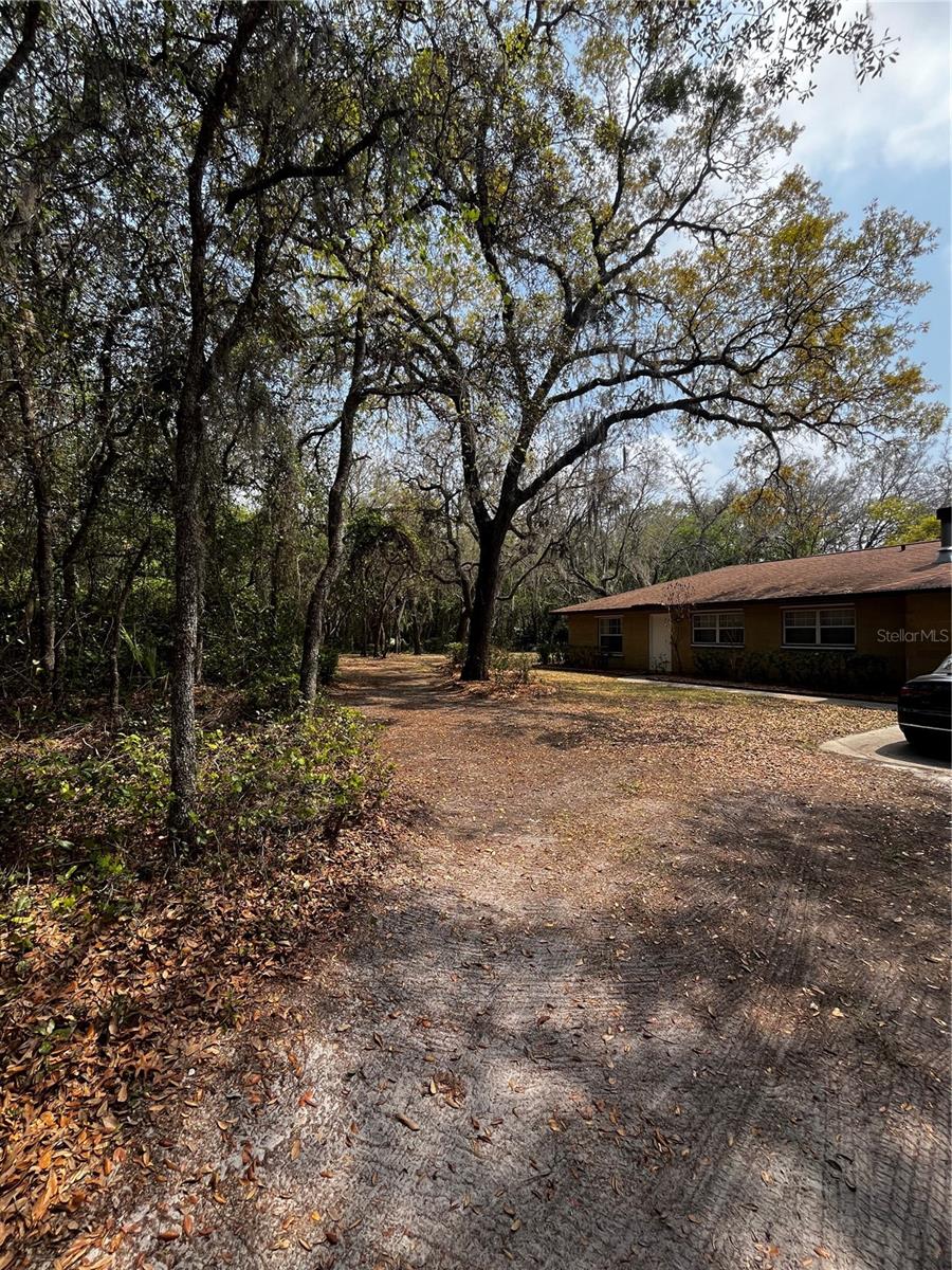 Listing photo id 18 for 29716 Deerwood Farms Road