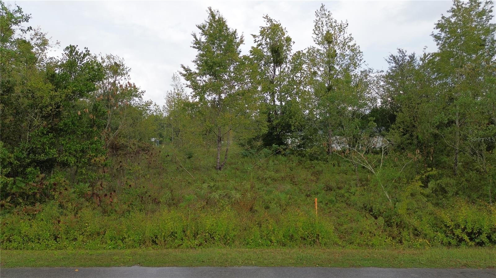 Details for 1917 Nw 4th St, OCALA, FL 34471