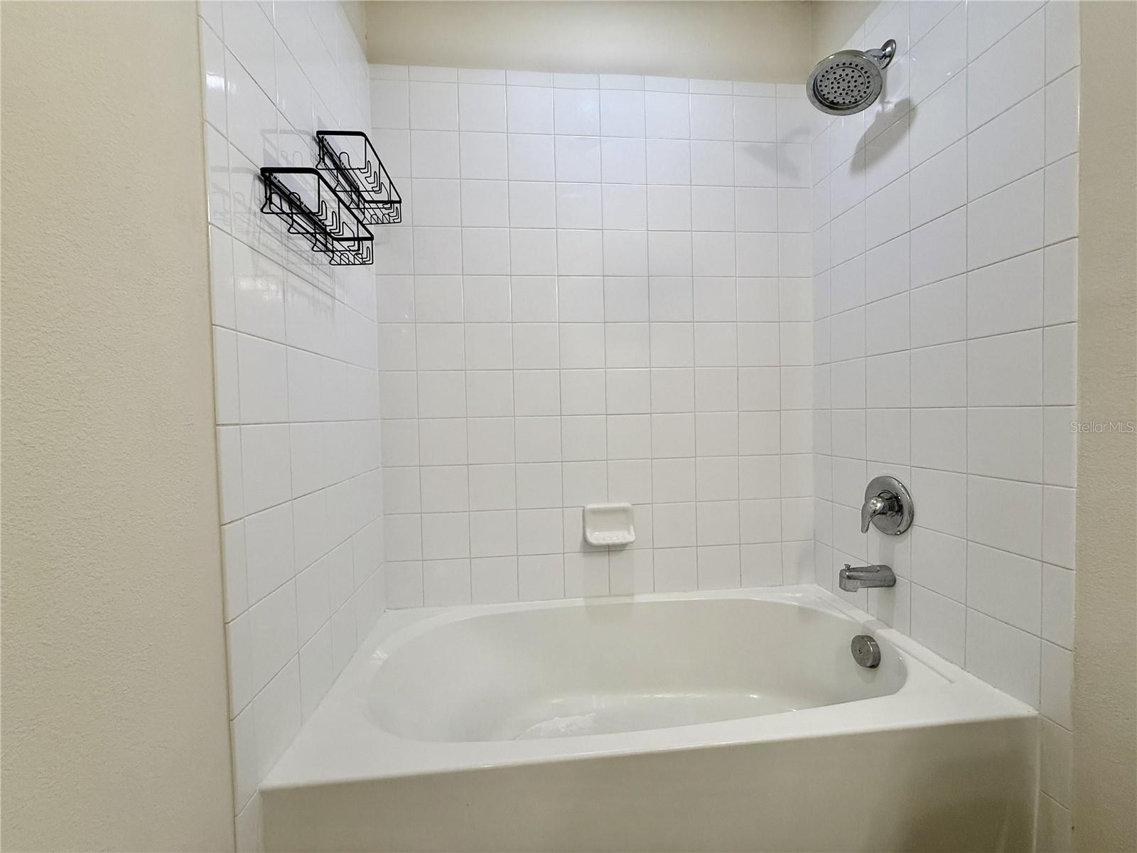 Image 36 of 50 For 2208 Gopher Tortoise Terrace