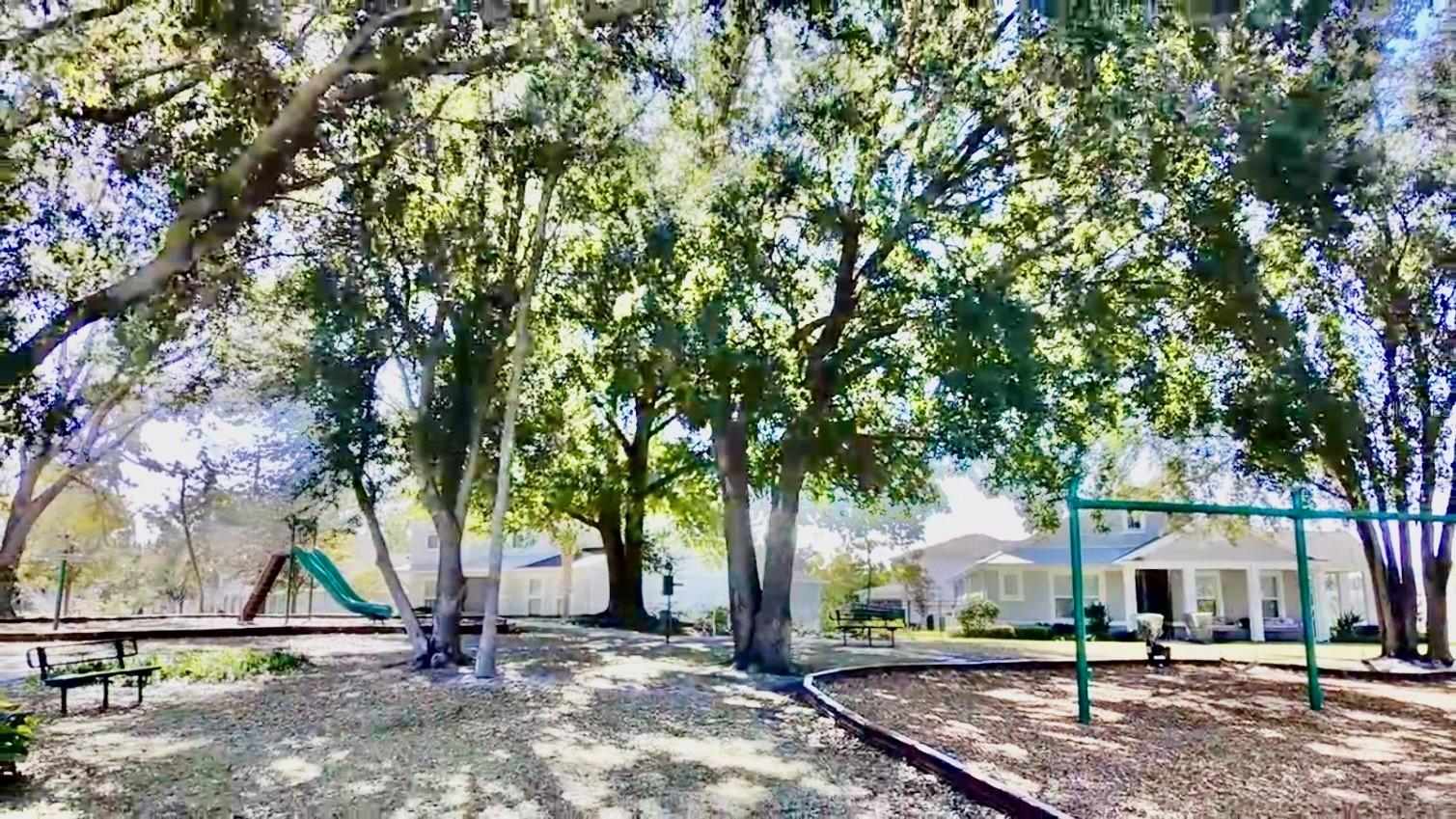 Image 43 of 50 For 2208 Gopher Tortoise Terrace