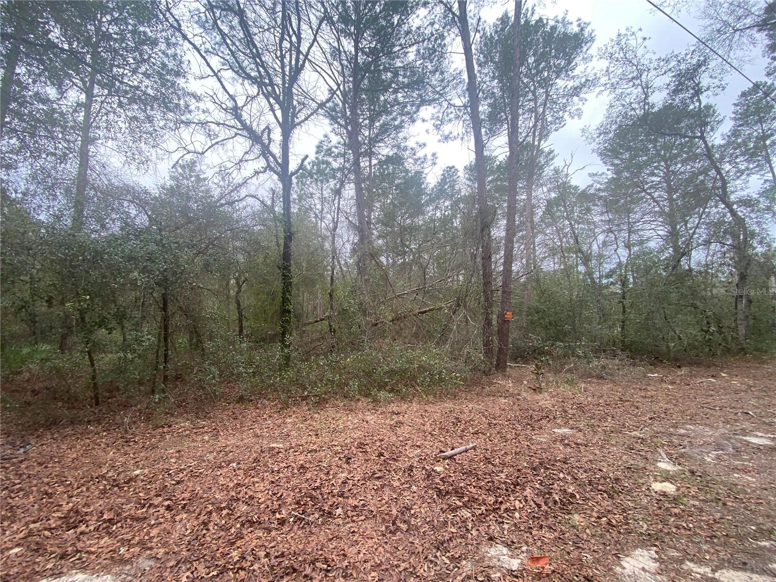 Image 4 of 10 For 156th Place 0