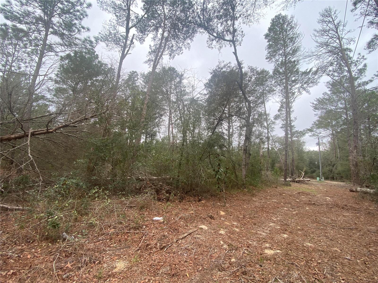 Image 5 of 10 For 156th Place 0