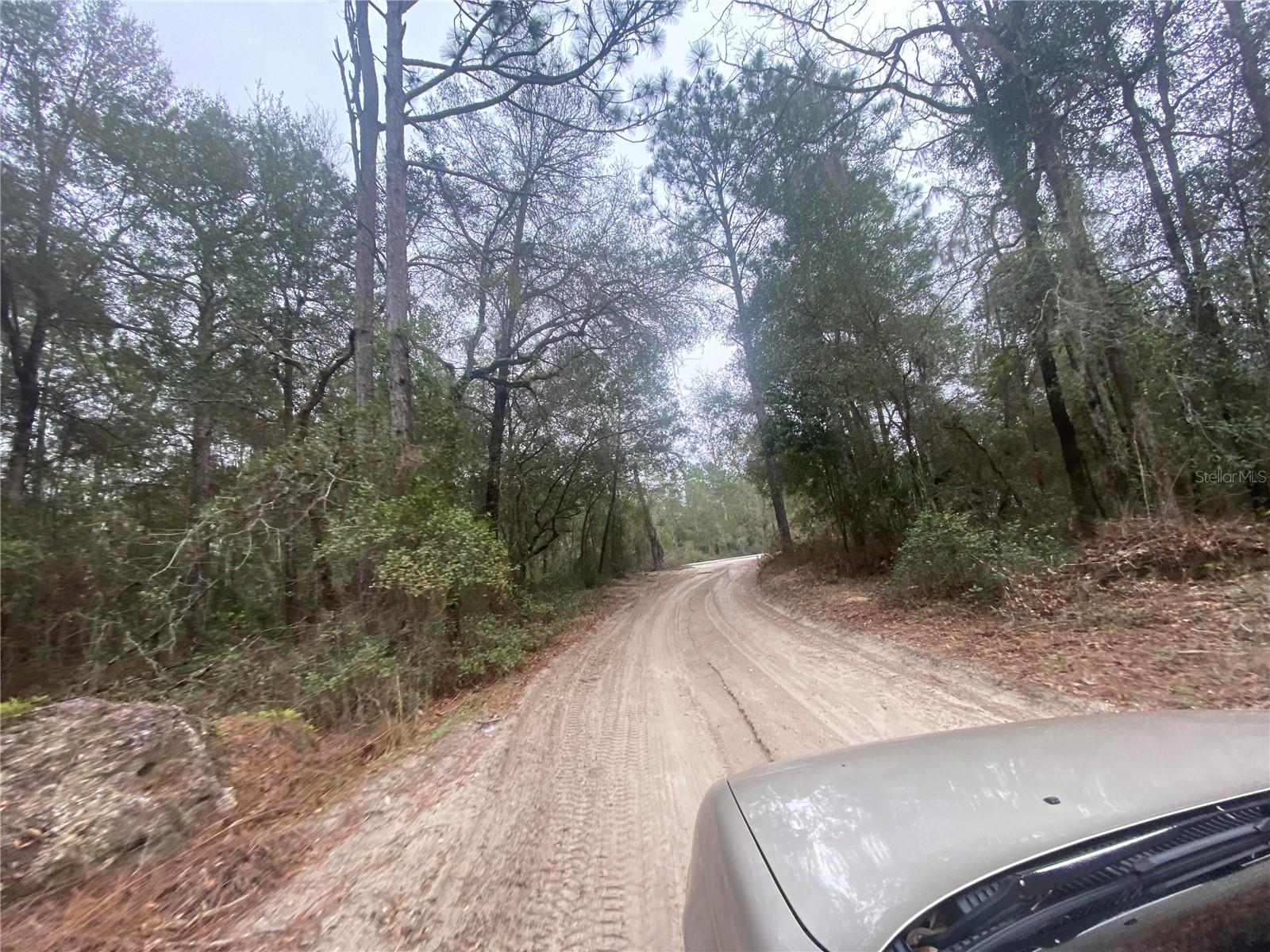 Image 6 of 10 For 156th Place 0