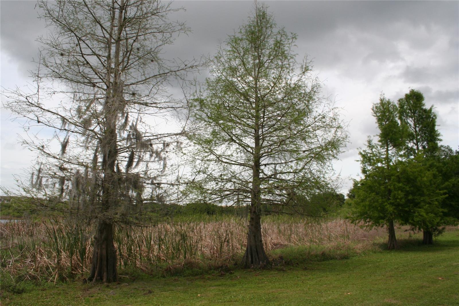 Image 11 of 36 For 136 Wood Ridge Trail