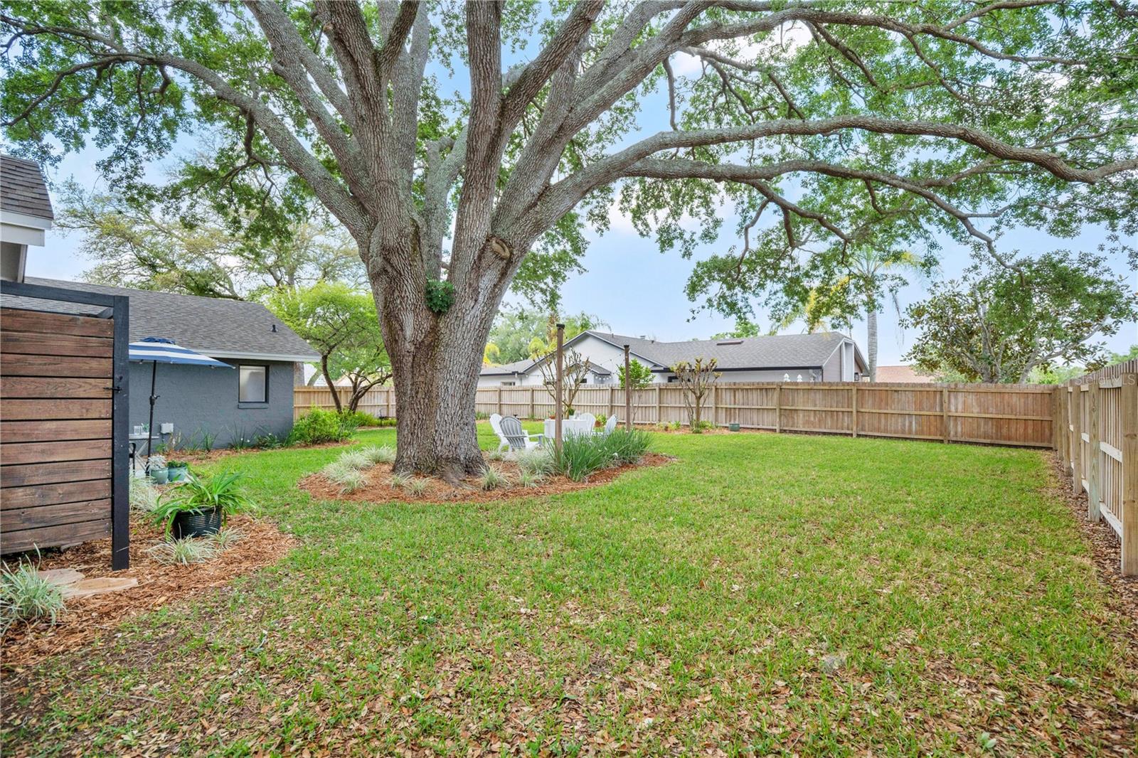 Image 24 of 38 For 1797 Pam Circle