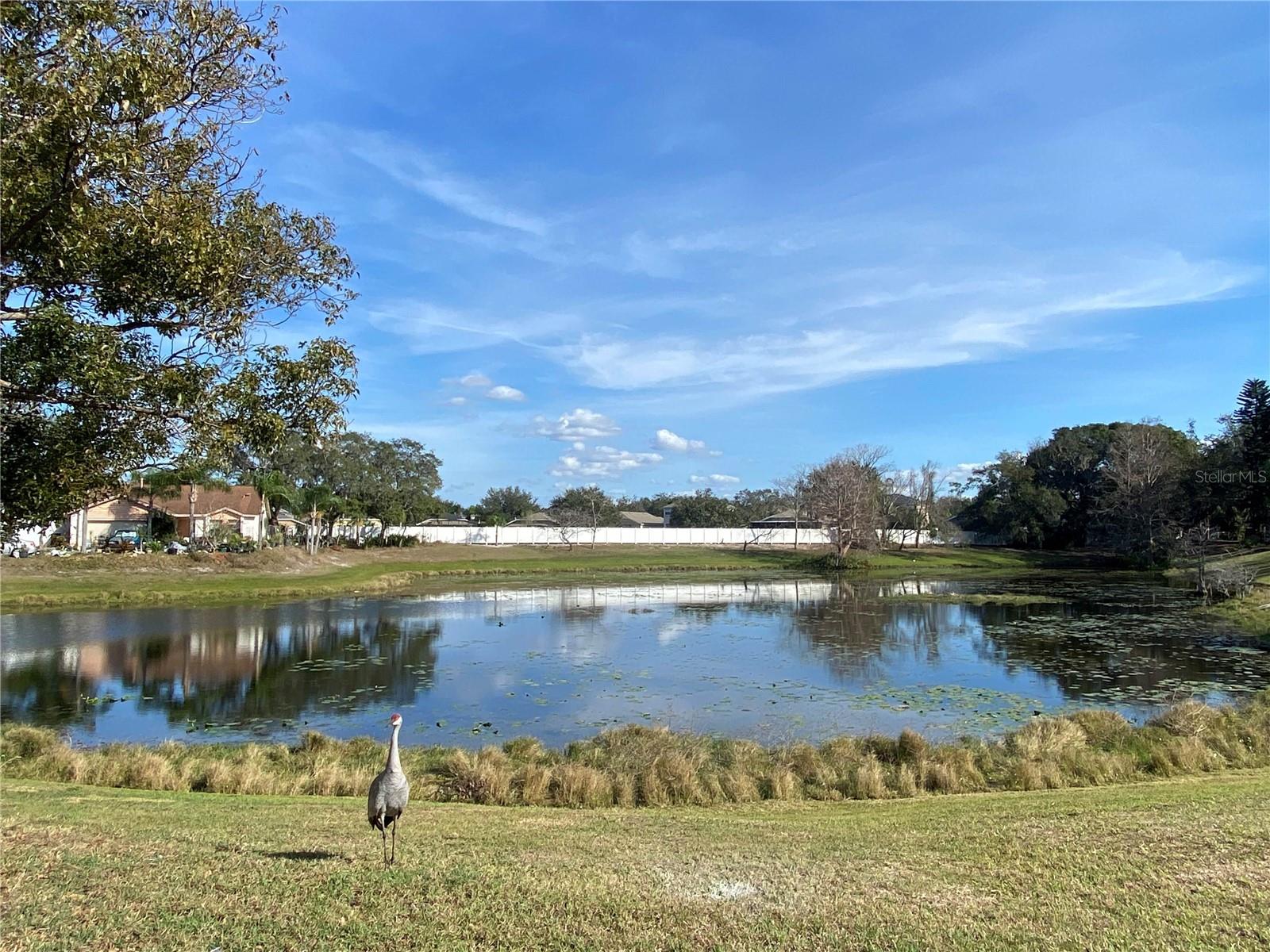 Image 16 of 16 For 1441 Bridlebrook Drive