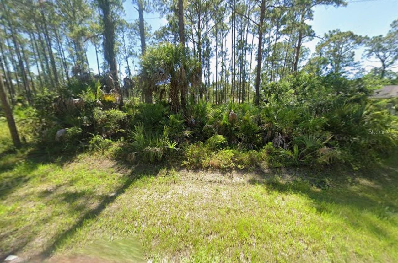 Listing photo id 3 for Vulgate Street