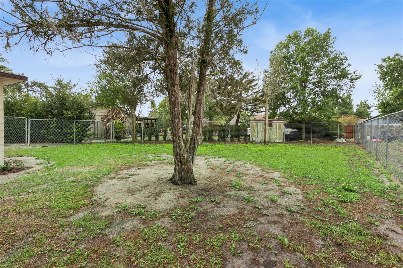 Listing photo id 20 for 2612 Martz Court