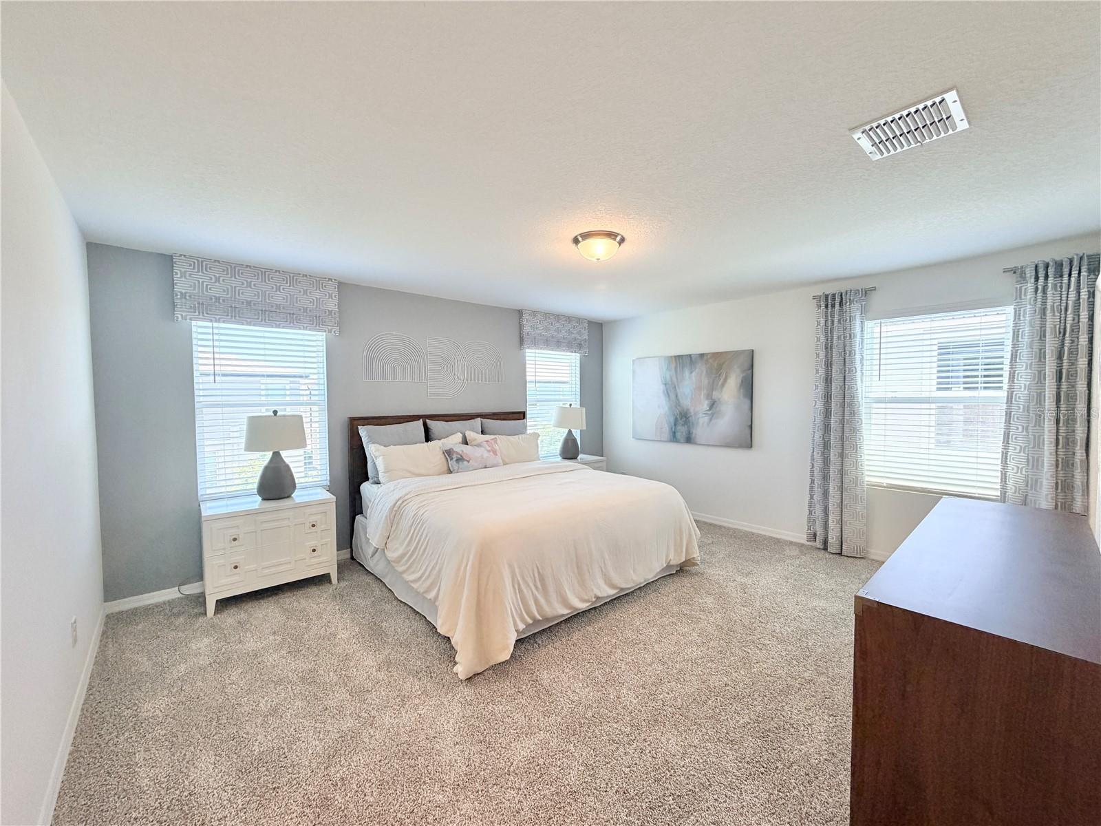 Image 19 of 39 For 4536 Burrowing Owl Loop