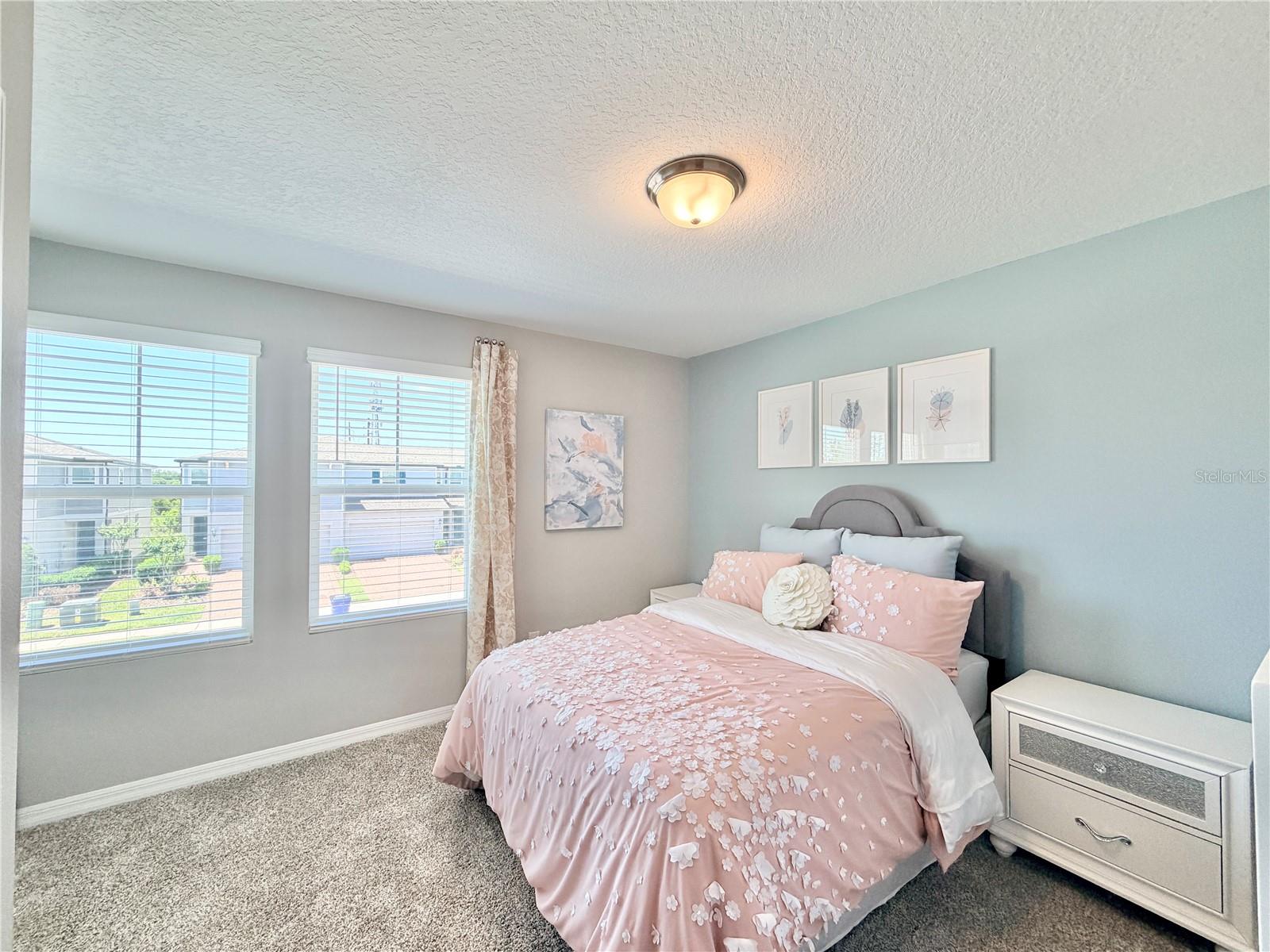 Image 33 of 39 For 4536 Burrowing Owl Loop