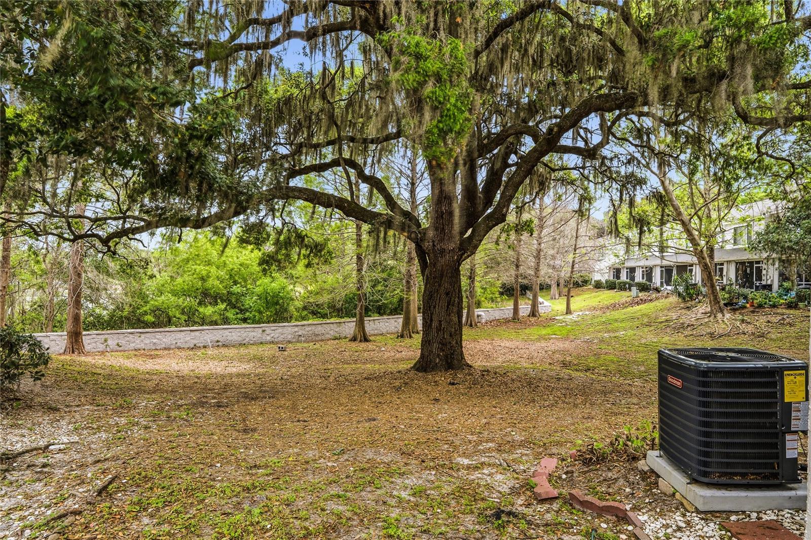 Image 24 of 24 For 922 Vineland Place