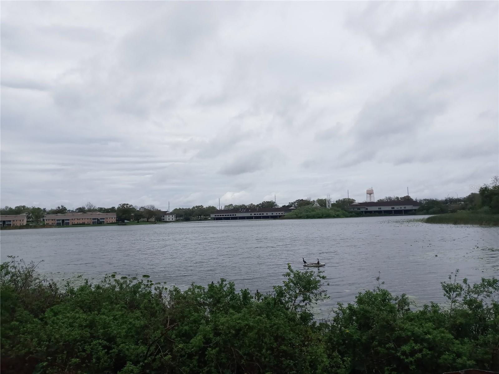 Image 14 of 23 For 216 Afton Square 208