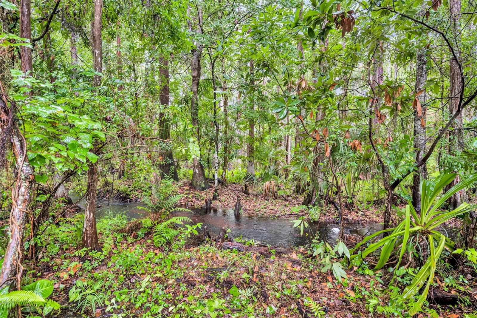 Image 34 of 42 For 1576 Crosswind Circle