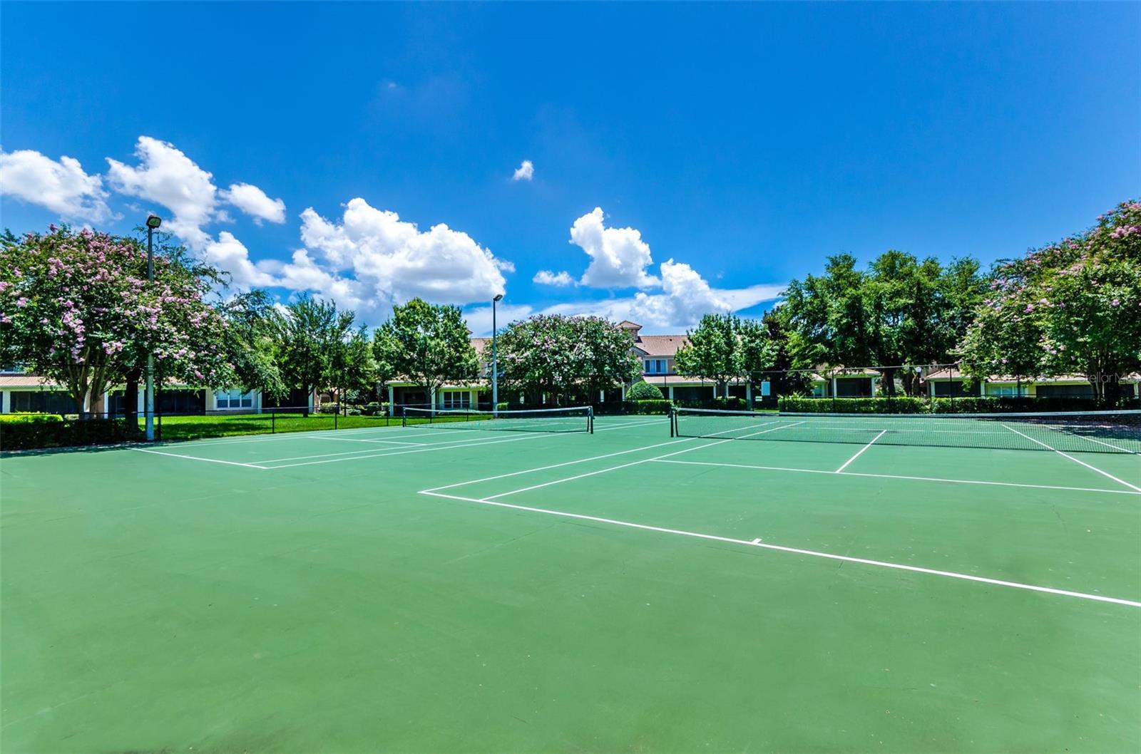 Image 35 of 36 For 2896 Polvadero Lane 104