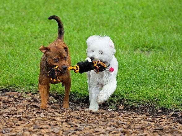 Image 28 of 34 For 8591 Oakstone Circle