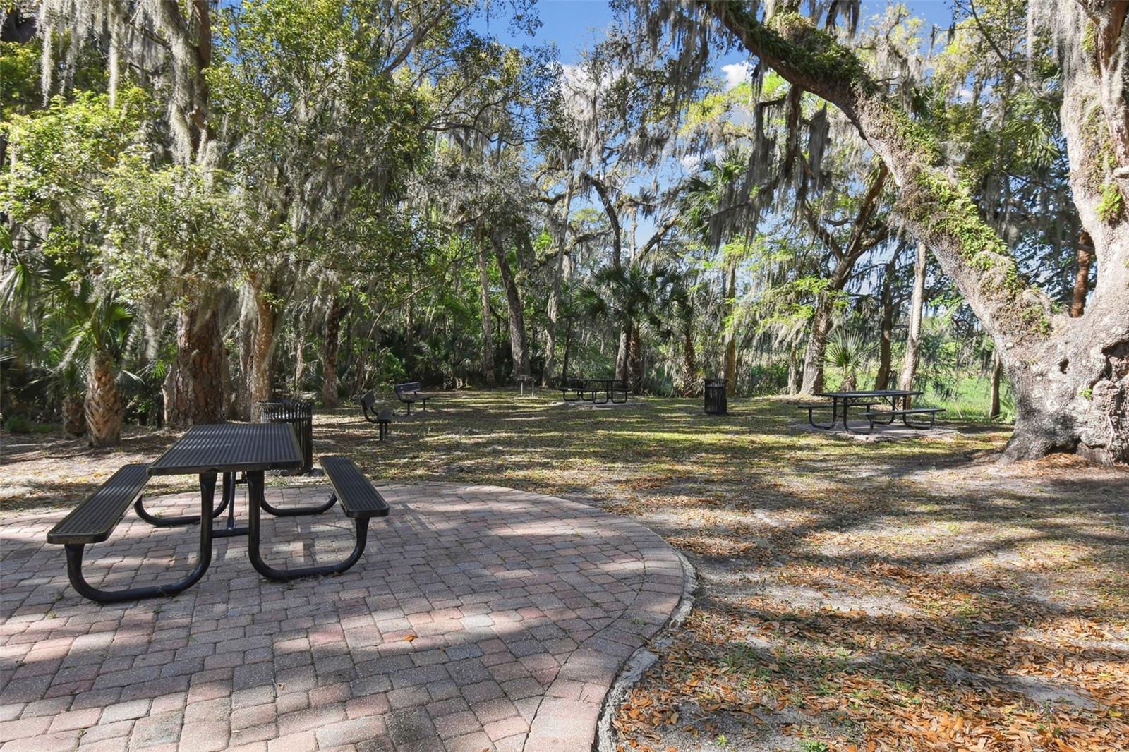 Image 63 of 64 For 727 Lazio Circle