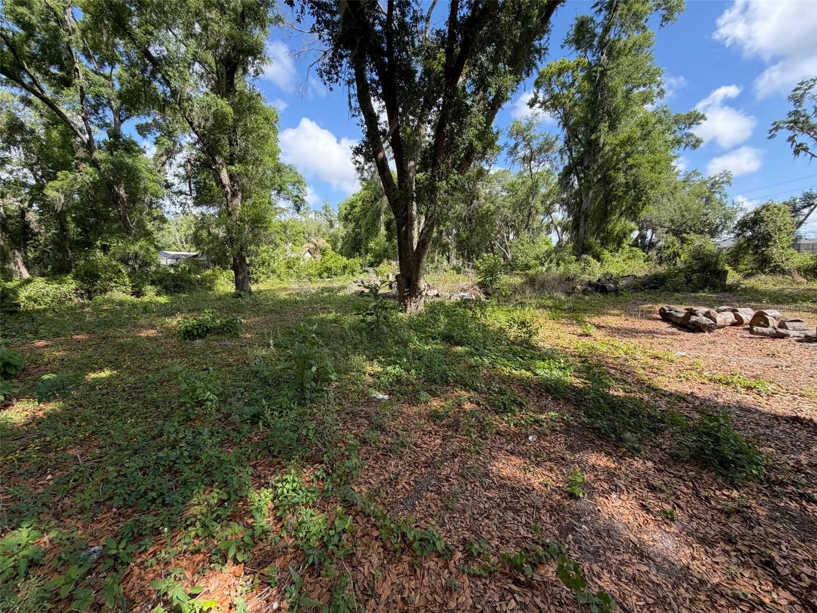 Image 5 of 19 For 3726 County Road 507