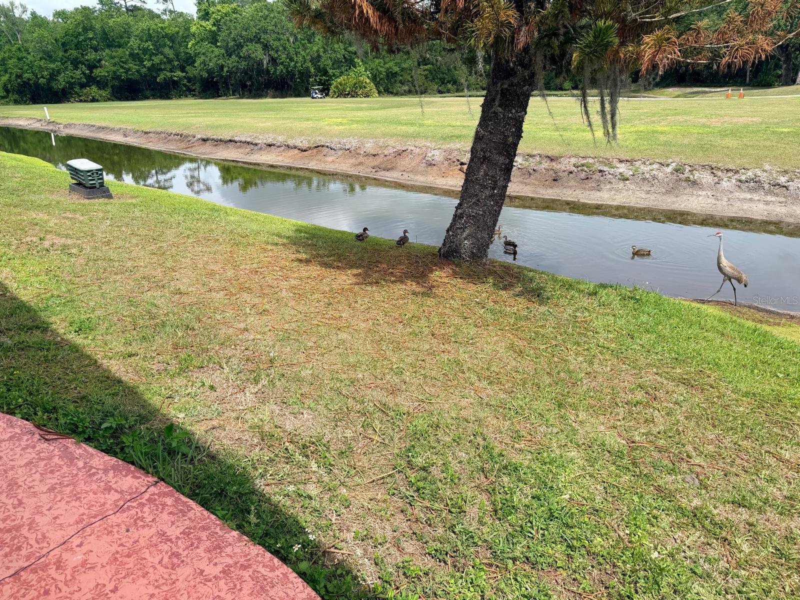 Image 9 of 46 For 2173 Pebble Beach Boulevard