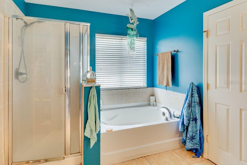 Image 19 of 32 For 349 Verdi Street