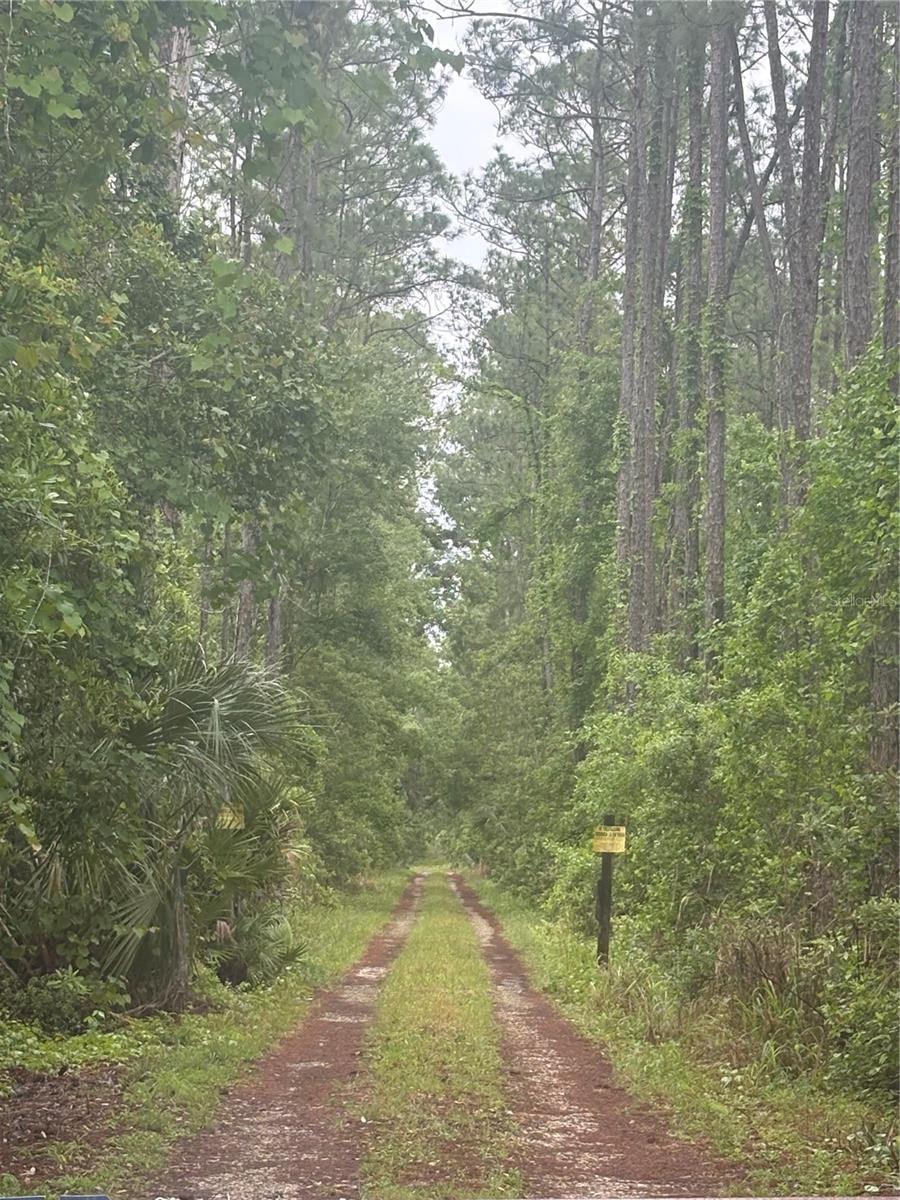 Listing Details for  No Street  , DELAND, FL 32724