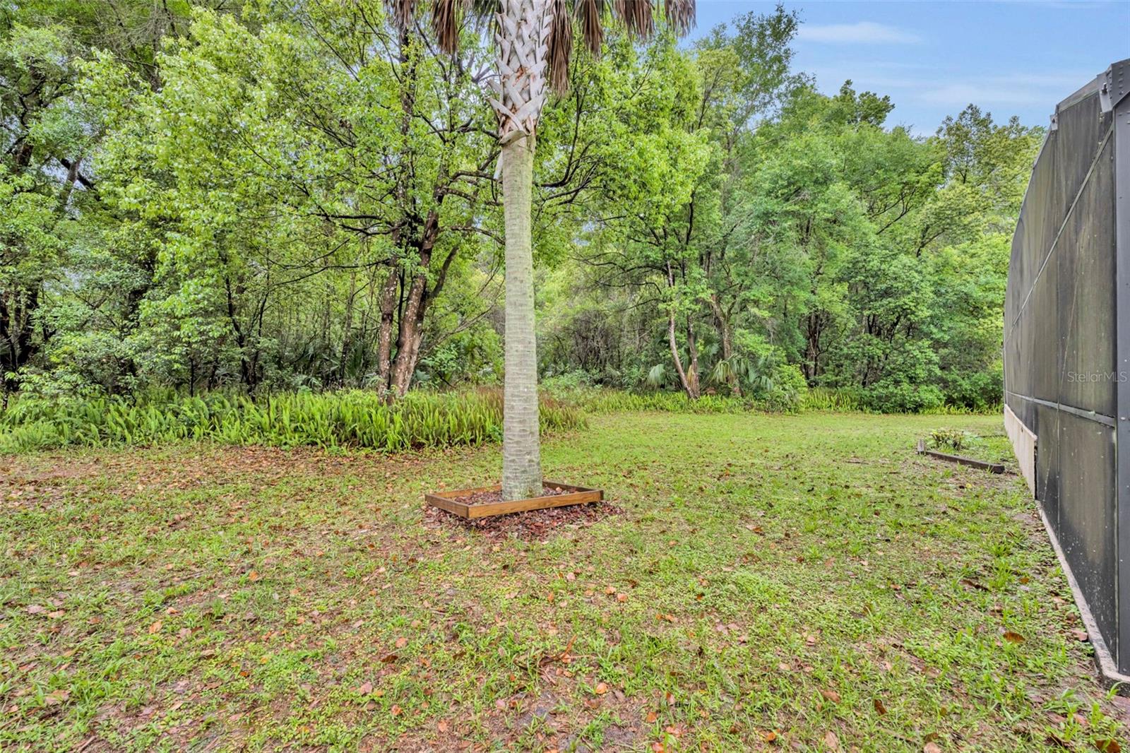 Listing photo id 50 for 1640 Strathcona Avenue