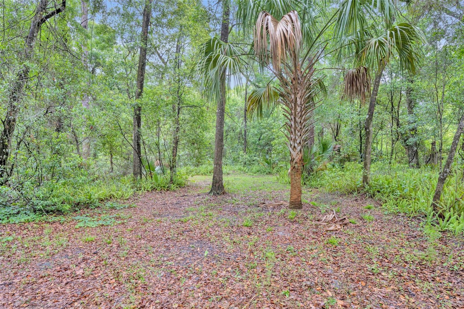 Listing photo id 52 for 1640 Strathcona Avenue