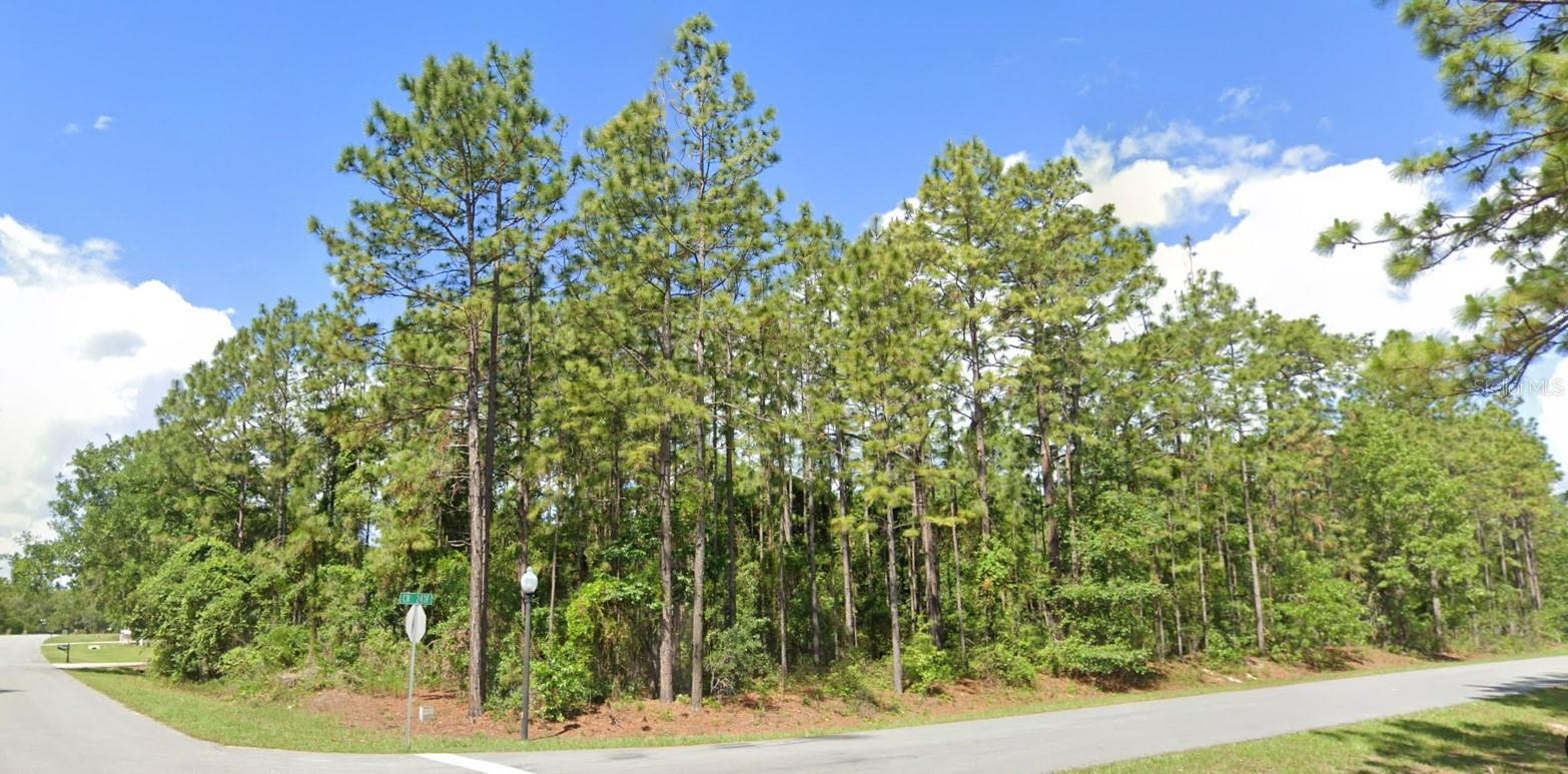 Details for 2020 Cr 243 B, WILDWOOD, FL 34785