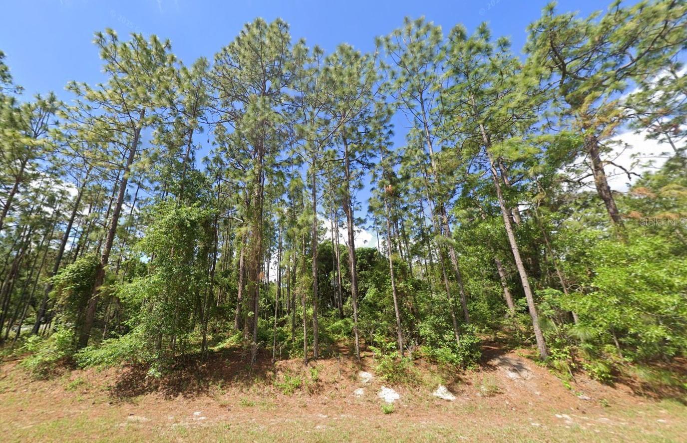 Image 2 of 14 For 2020 Cr 243 B