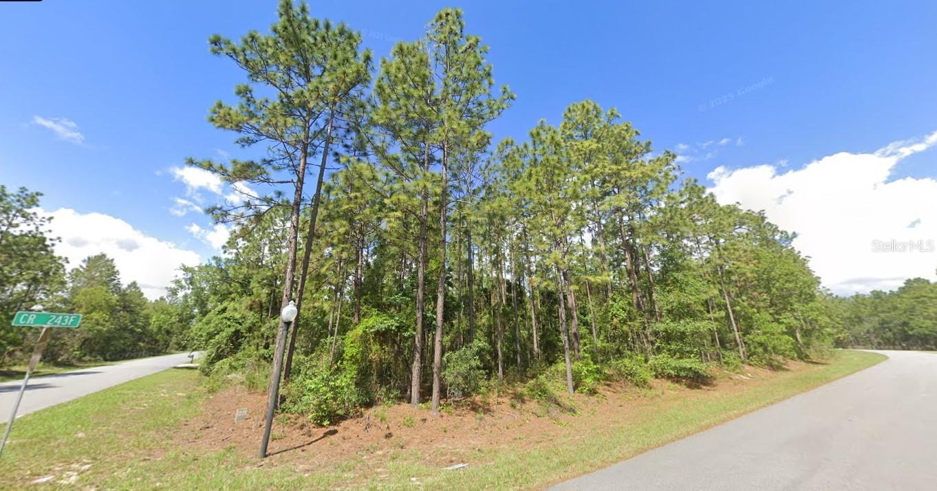 Image 3 of 14 For 2020 Cr 243 B