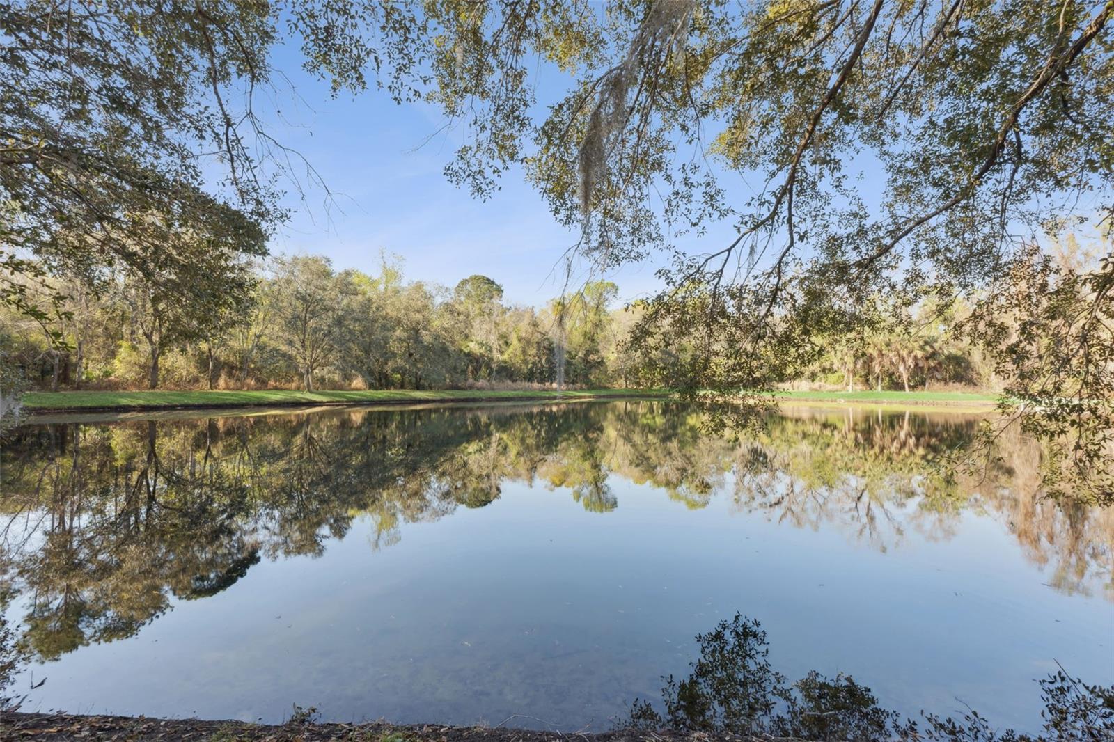 Image 33 of 46 For 171 Constitution Way