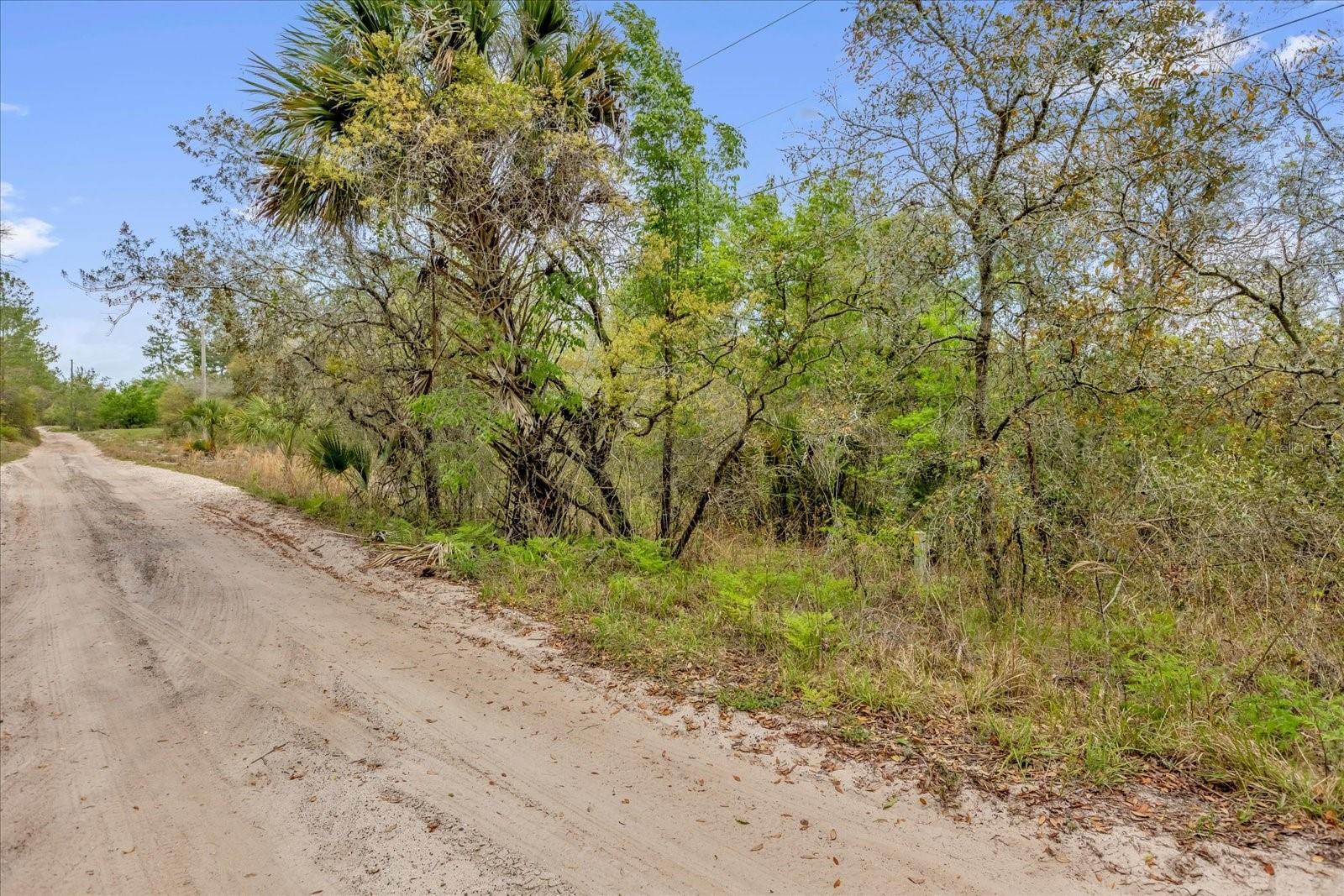 Image 3 of 5 For Chestnut Avenue