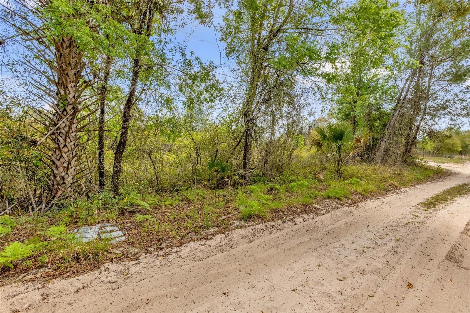 Image 4 of 5 For Chestnut Avenue