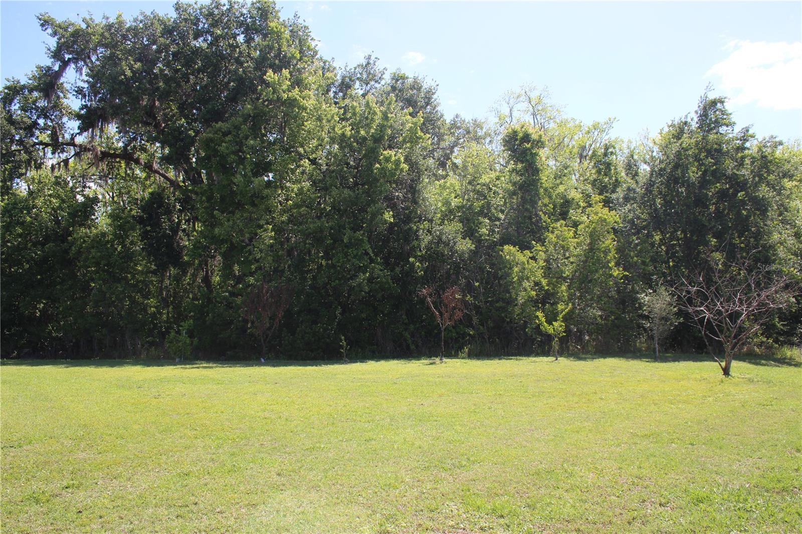 Image 15 of 95 For 2543 Chapala Drive