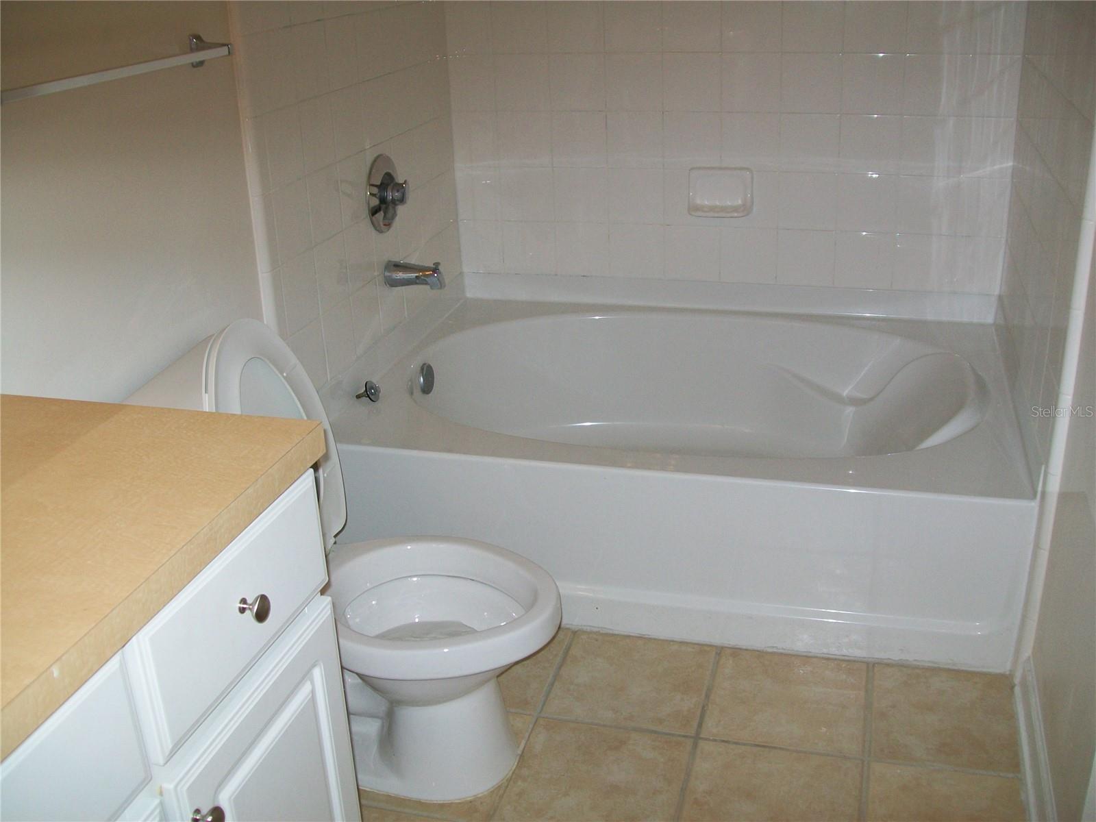 Image 7 of 12 For 12807 Madison Pointe Circle 203