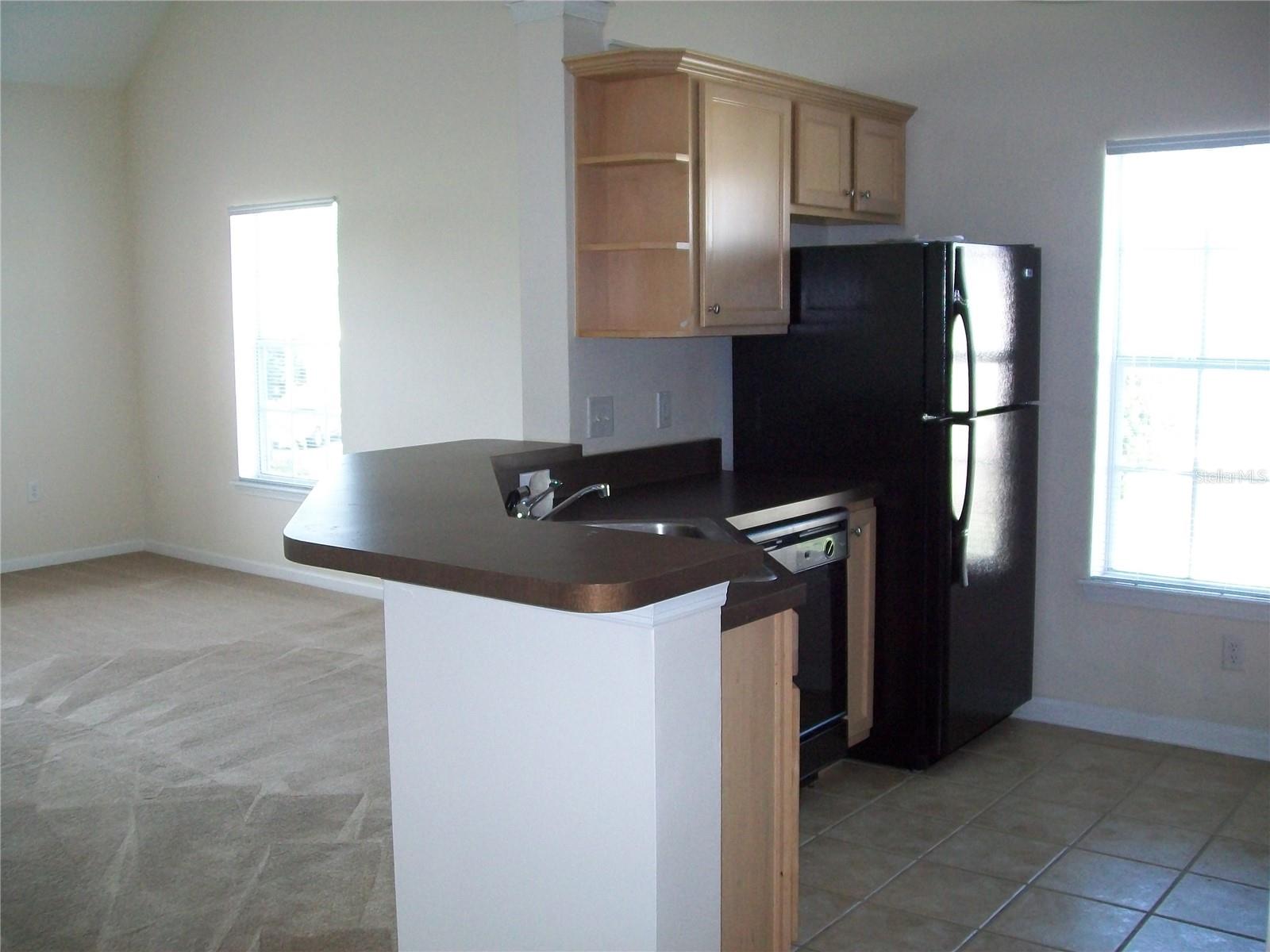 Image 9 of 12 For 12807 Madison Pointe Circle 203