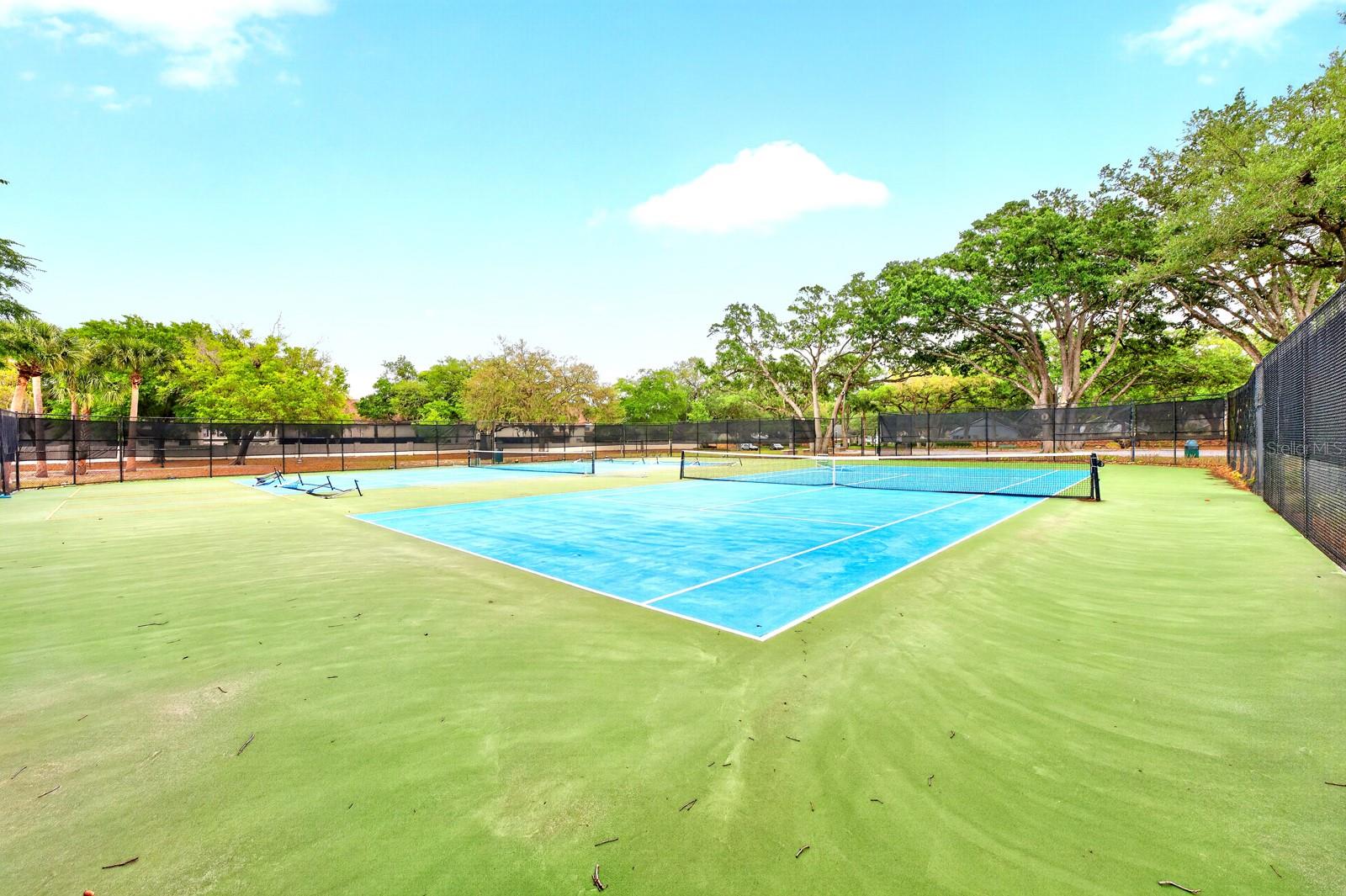 Image 31 of 39 For 600 Northern Way 302