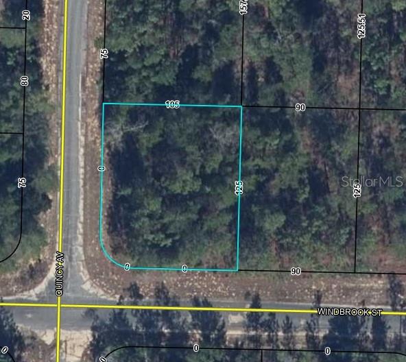 Details for Windbrook Street, CHIPLEY, FL 32428