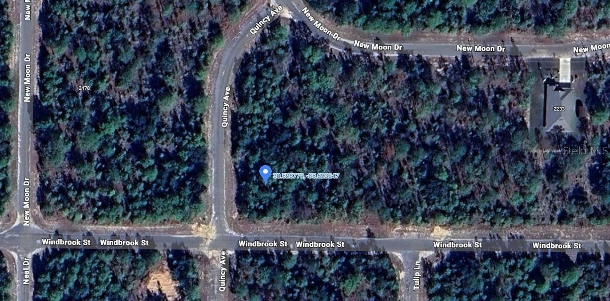 Image 2 of 7 For Windbrook Street